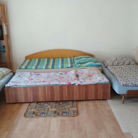 Apartmany Alex Male Dvorany المظهر الخارجي الصورة