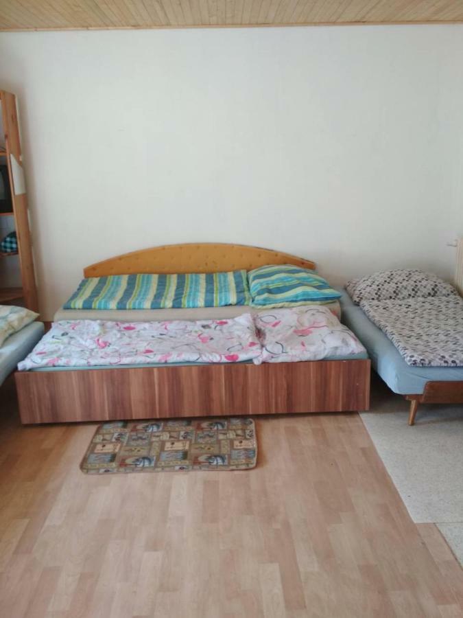 Apartmany Alex Male Dvorany المظهر الخارجي الصورة